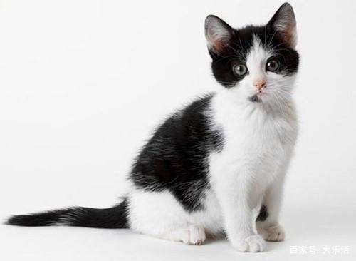 1588129830999500.jpg 0b55b319ebc4b7455b082bec39515811888215db.jpg