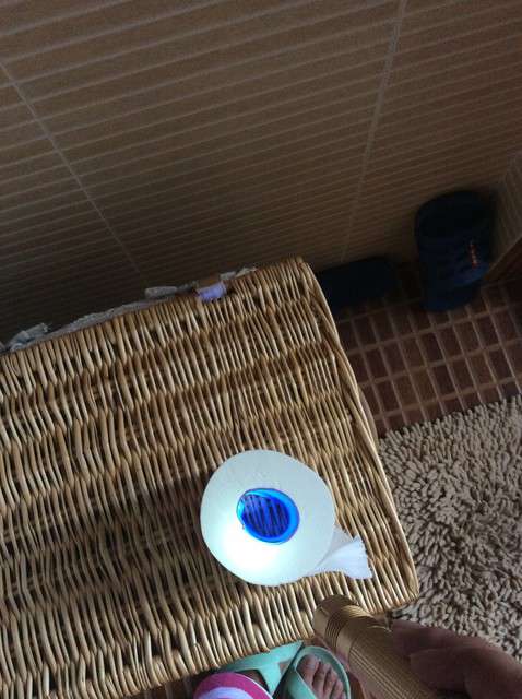  寶媽買了紫光手電，衣服上好多熒光劑，看的心慌害怕